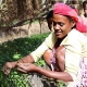 Nestle поможет фермерам в Восточной Африке улучшить урожай кофе